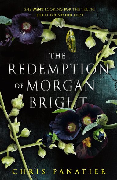 Chris Panatier - Redemption of Morgan Bright, Häftad