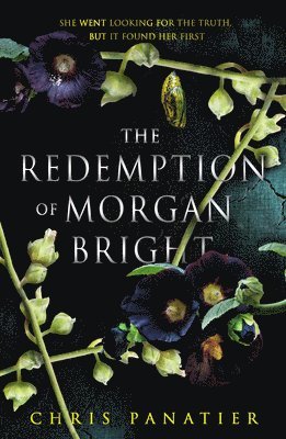 Chris Panatier - Redemption of Morgan Bright, Häftad