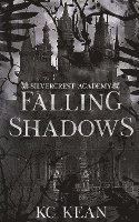 Falling Shadows 1