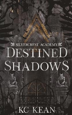 Destined Shadows 1