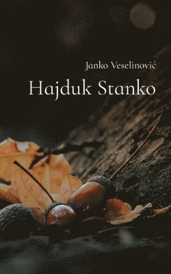 bokomslag Hajduk Stanko