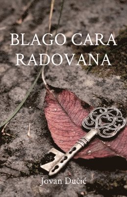 bokomslag Blago cara Radovana