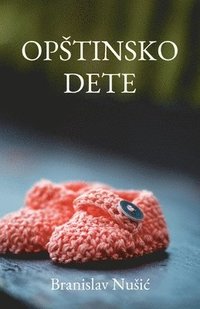 bokomslag Opstinsko dete