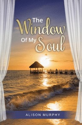Alison Murphy - Window of my Soul, Häftad