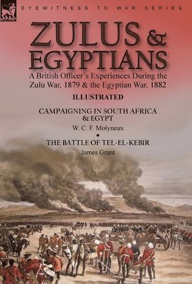 bokomslag Zulus & Egyptians