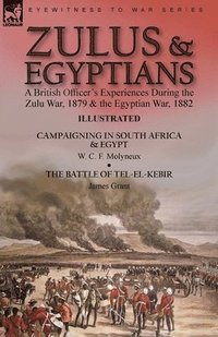 bokomslag Zulus & Egyptians