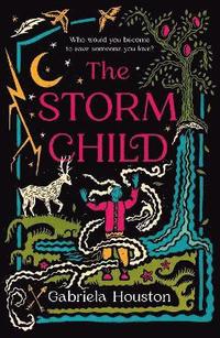 bokomslag Storm Child