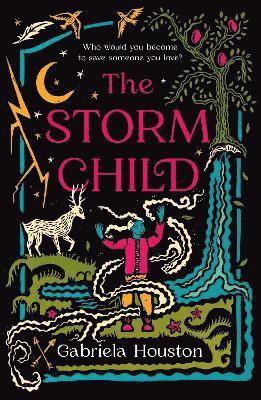 bokomslag Storm Child