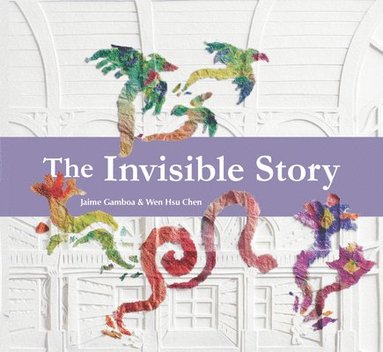 bokomslag Invisible Story