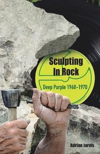 bokomslag Sculpting In Rock