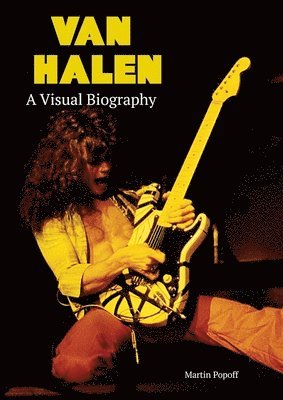 bokomslag Van Halen A Visual Biography