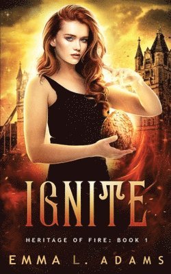 bokomslag Ignite