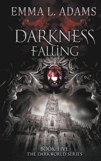bokomslag Darkness Falling