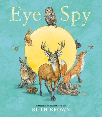 bokomslag Eye Spy