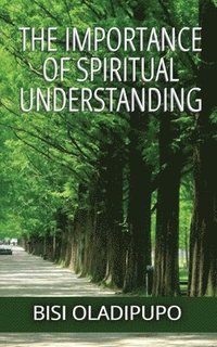 bokomslag The Importance of Spiritual Understanding