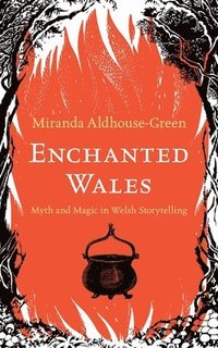 bokomslag Enchanted Wales