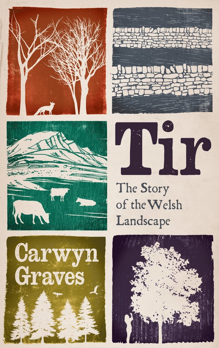 Carwyn Graves - Tir, Inbunden