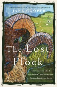 bokomslag The Lost Flock [Us Edition]: Rare Wool, Wild Isles and One Woman's Journey to Save Scotland's Original Sheep