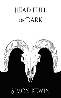 bokomslag Head Full of Dark