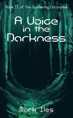 bokomslag Voice in the Darkness