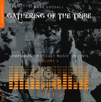 bokomslag Gathering of the Tribe: Sex