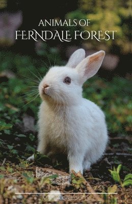 Animals of Ferndale Forest
