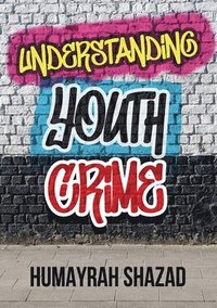 bokomslag Understanding Youth Crime