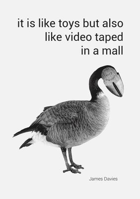 It Is Like Toys But Also Like Video Taped in a Mall 1