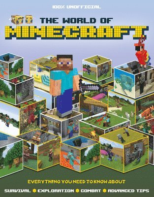 The World of Minecraft 1