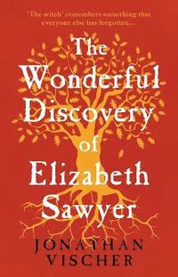 bokomslag Wonderful Discovery of Elizabeth Sawyer
