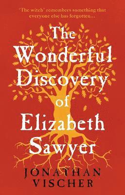 bokomslag Wonderful Discovery of Elizabeth Sawyer