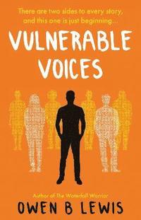 bokomslag Vulnerable Voices