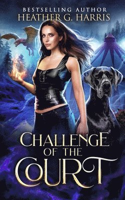 Heather G Harris, Heather G. Harris, G. Harris, Heather - Challenge of the Court, Häftad