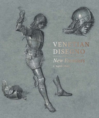 bokomslag Venetian Disegno