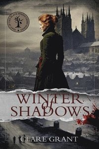 bokomslag Winter of Shadows