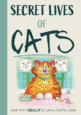 bokomslag Secret Lives Of Cats