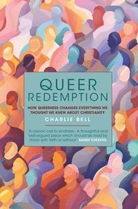 bokomslag Queer Redemption