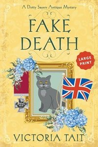 bokomslag Fake Death