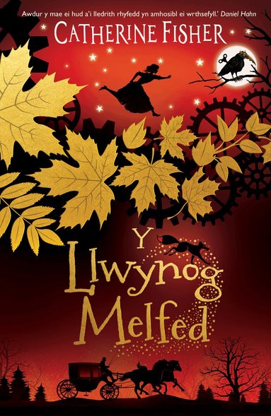 Catherine Fisher - Y Llwynog Melfed, Häftad