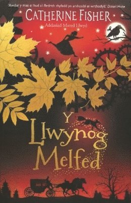 bokomslag Y Llwynog Melfed