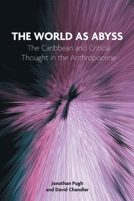 bokomslag The World as Abyss