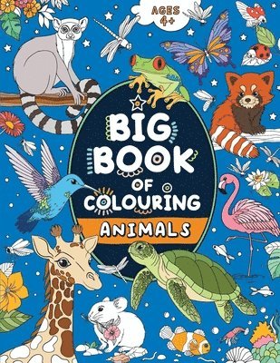 Fairywren Publishing, FairyWren Publishing - Big Book of Colouring, Häftad