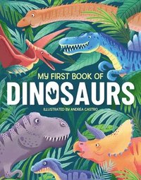 bokomslag My First Book Of Dinosaurs