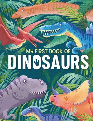 My First Book Of Dinosaurs 1