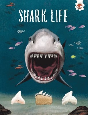 SHARK LIFE 1