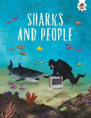 SHARKS AND PEOPLE 1