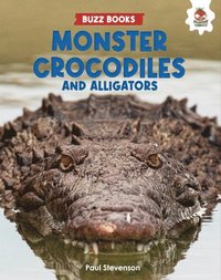 bokomslag Monster Crocodiles and Alligators