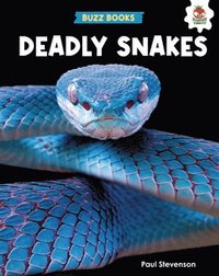 bokomslag Deadly Snakes