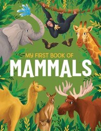 bokomslag My First Book of Mammals