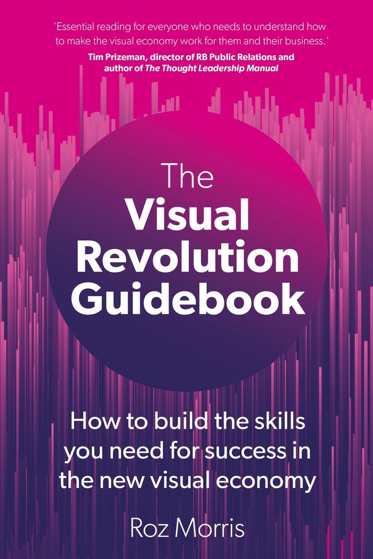 Roz Morris - Visual Revolution Guidebook, Häftad